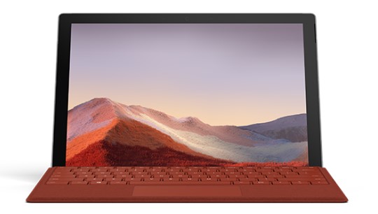 东坡清洁和维护 Surface